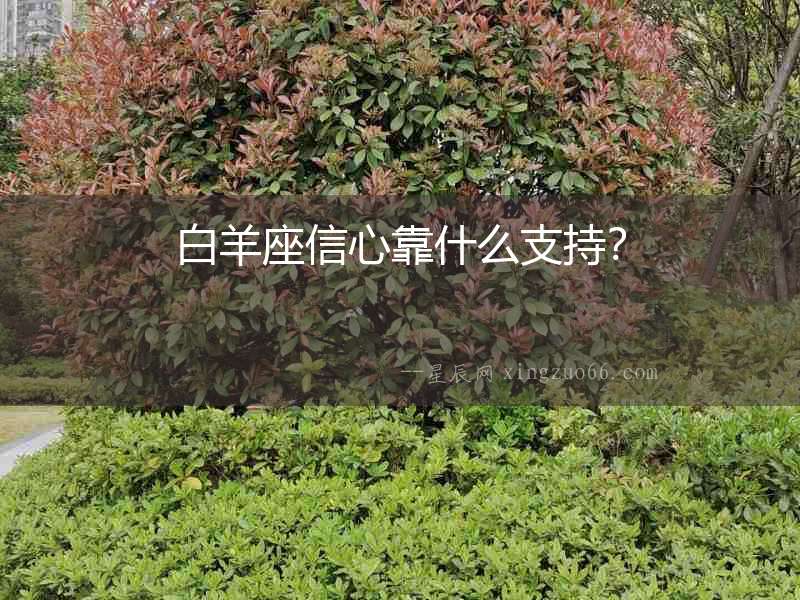 白羊座信心靠什么支持？