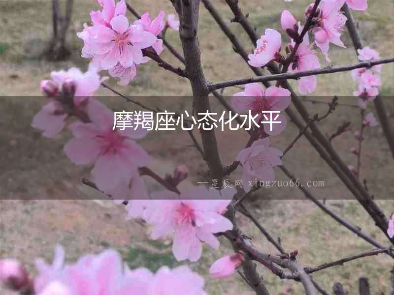 摩羯座心態(tài)化水平