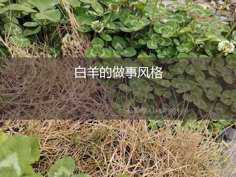 白羊的做事風(fēng)格
