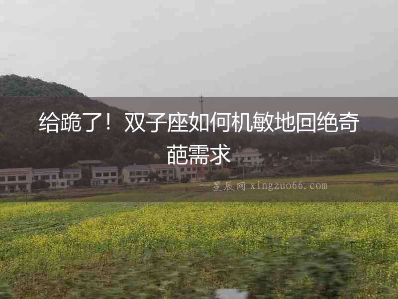 給跪了！雙子座如何機敏地回絕奇葩需求