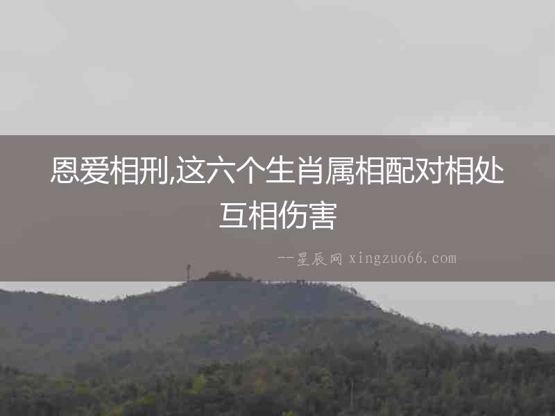 恩愛相刑,這六個(gè)生肖屬相配對(duì)相處互相傷害