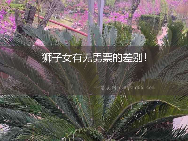 獅子女有無男票的差別！