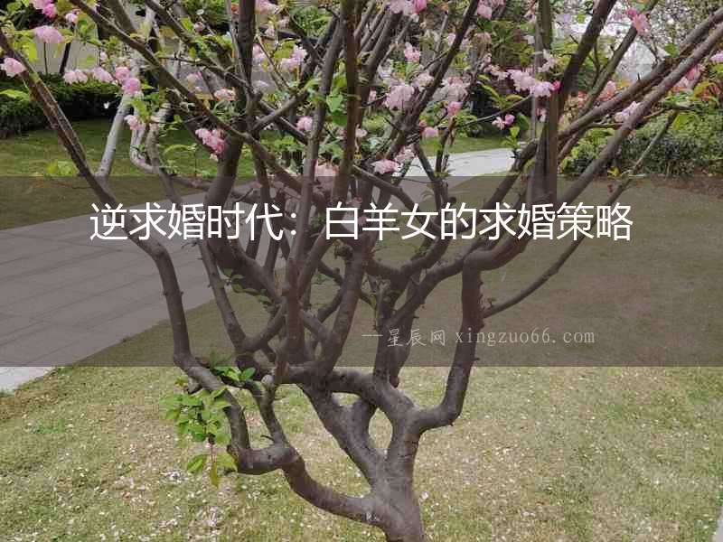 逆求婚時代：白羊女的求婚策略