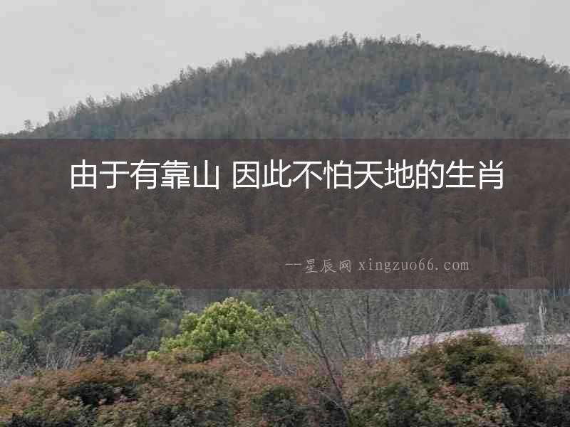 由于有靠山 因此不怕天地的生肖
