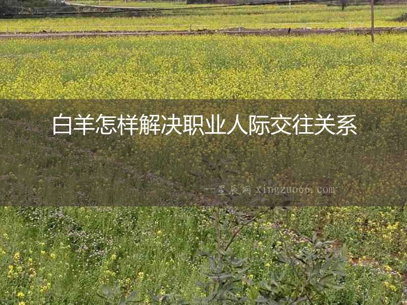 白羊怎樣解決職業(yè)人際交往關(guān)系