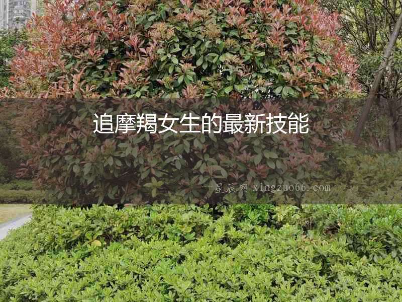 追摩羯女生的最新技能