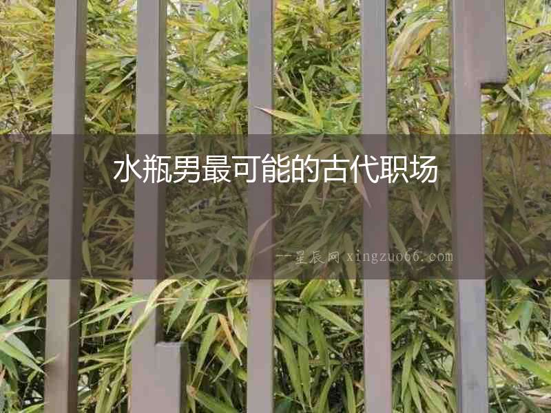 水瓶男最可能的古代職場