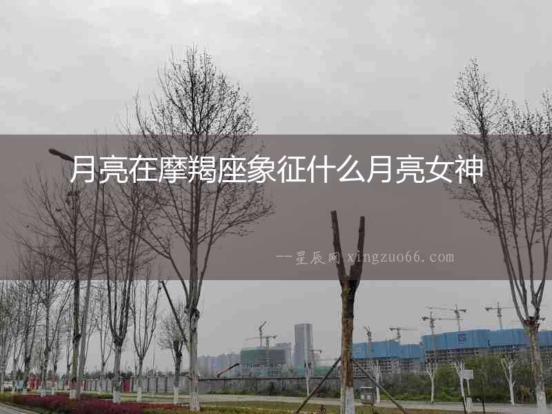 月亮在摩羯座象征什么月亮女神