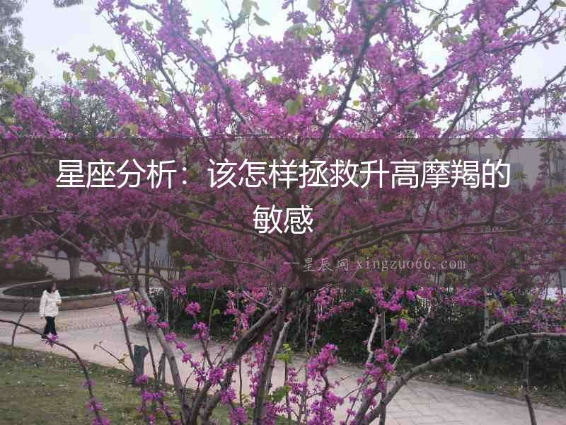 星座分析：該怎樣拯救升高摩羯的敏感