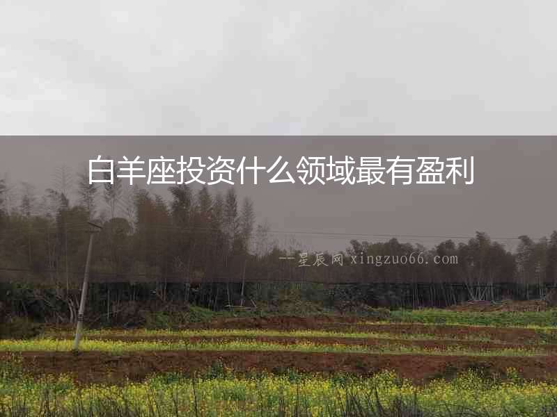 白羊座投資什么領域最有盈利