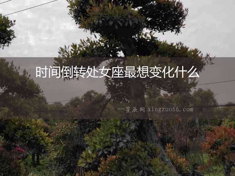 時間倒轉處女座最想變化什么