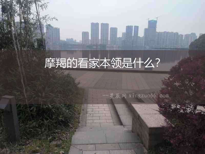 摩羯的看家本領是什么？