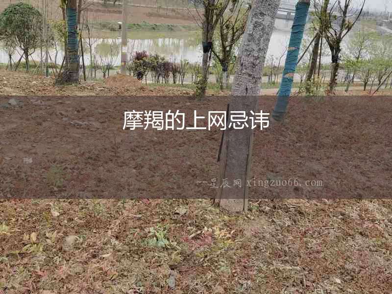 摩羯的上網忌諱