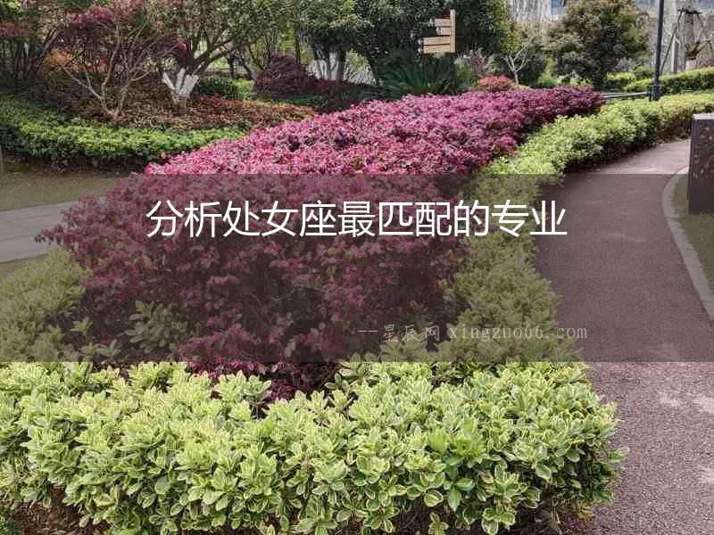 分析處女座最匹配的專業