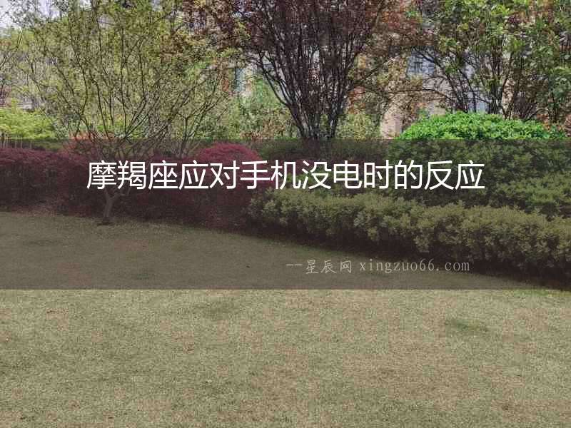 摩羯座應對手機沒電時的反應