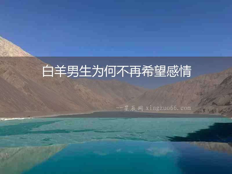 白羊男生為何不再希望感情
