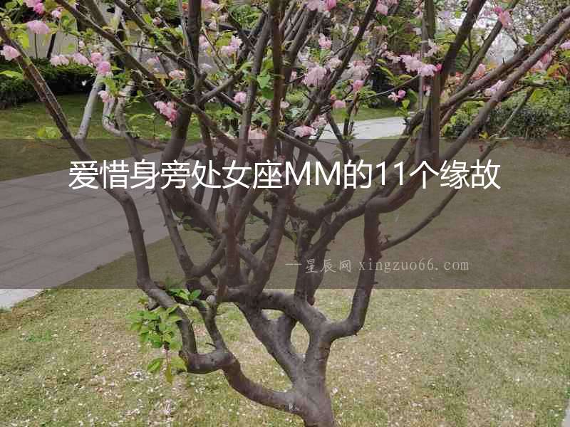 愛(ài)惜身旁處女座MM的11個(gè)緣故