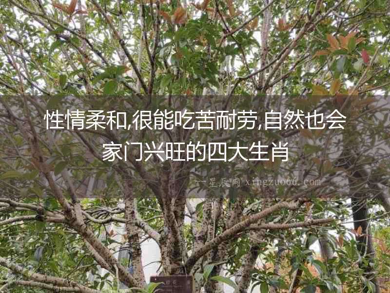 性情柔和,很能吃苦耐勞,自然也會家門興旺的四大生肖