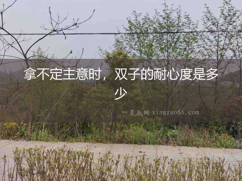 拿不定主意時，雙子的耐心度是多少