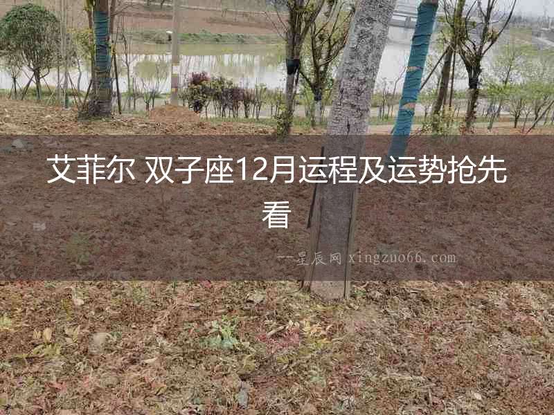 艾菲爾 雙子座12月運程及運勢搶先看