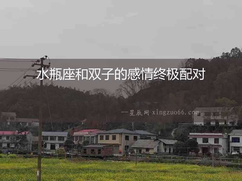 水瓶座和雙子的感情終極配對