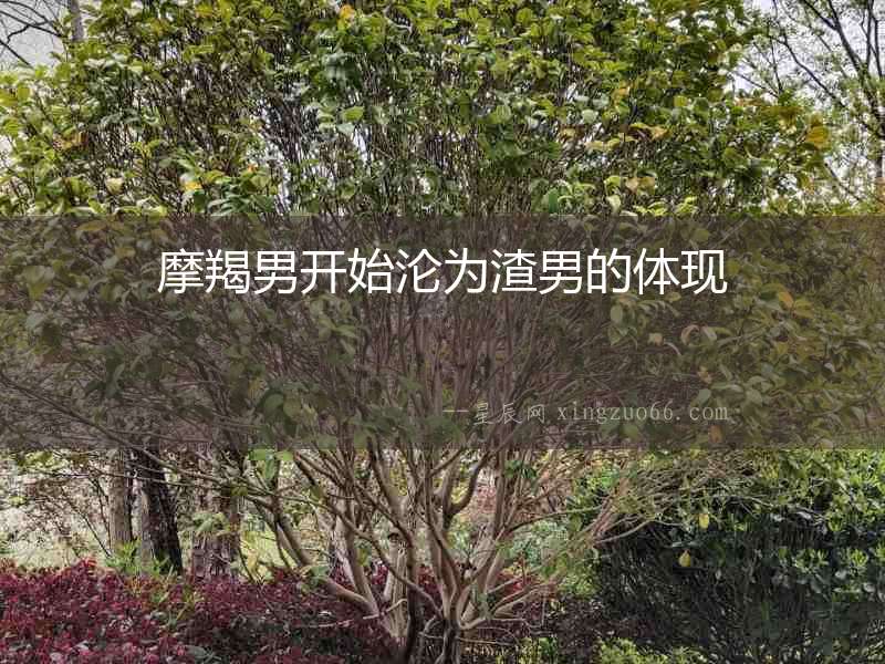 摩羯男開始淪為渣男的體現