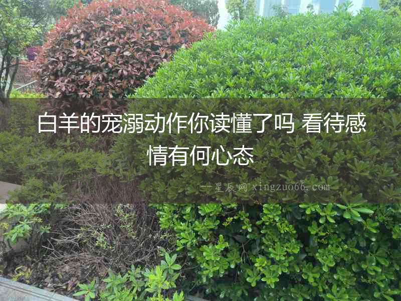 白羊的寵溺動作你讀懂了嗎 看待感情有何心態