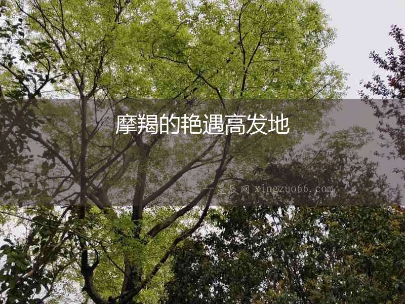 摩羯的艷遇高發(fā)地
