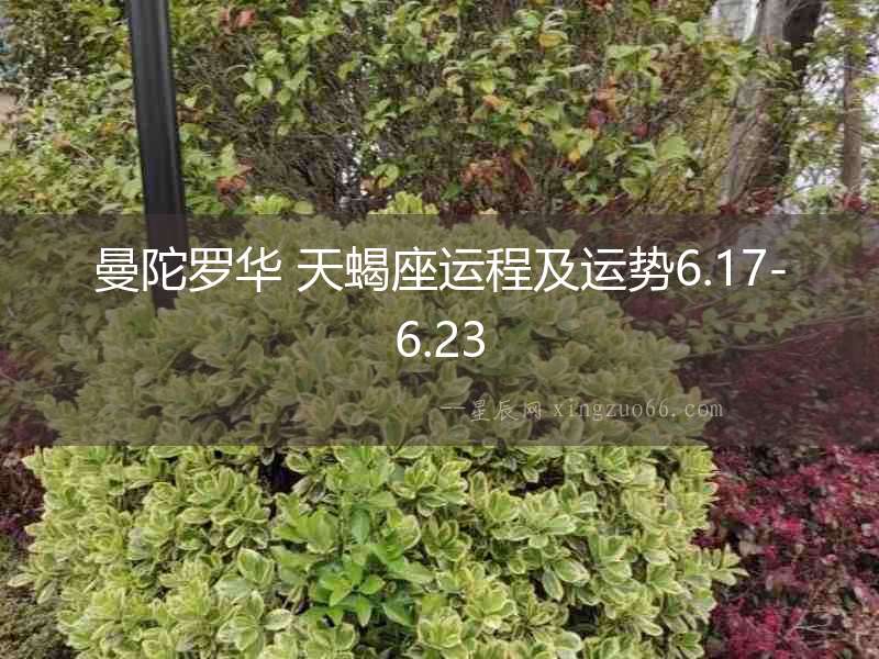 曼陀羅華 天蝎座運程及運勢6.17-6.23