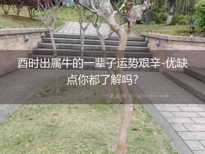 酉時出屬牛的一輩子運勢艱辛-優(yōu)缺點你都了解嗎？