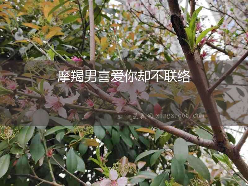 摩羯男喜愛你卻不聯絡
