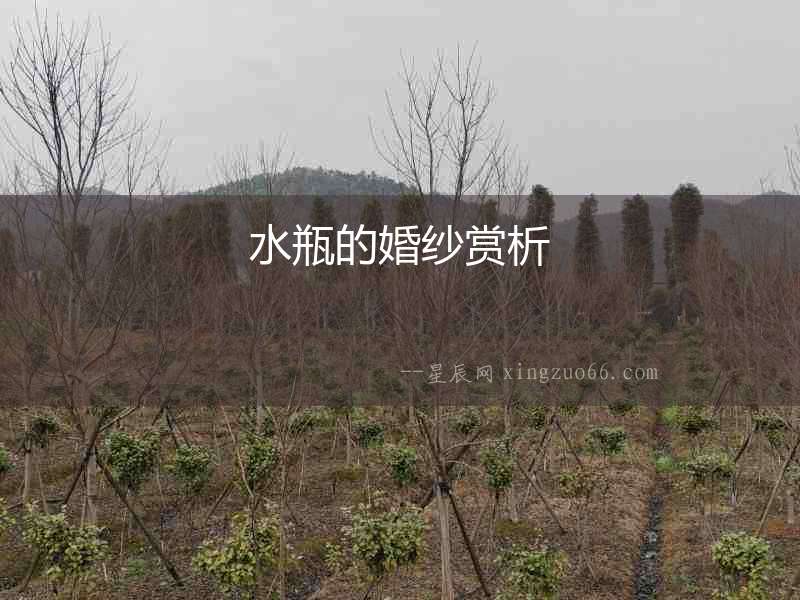水瓶的婚紗賞析