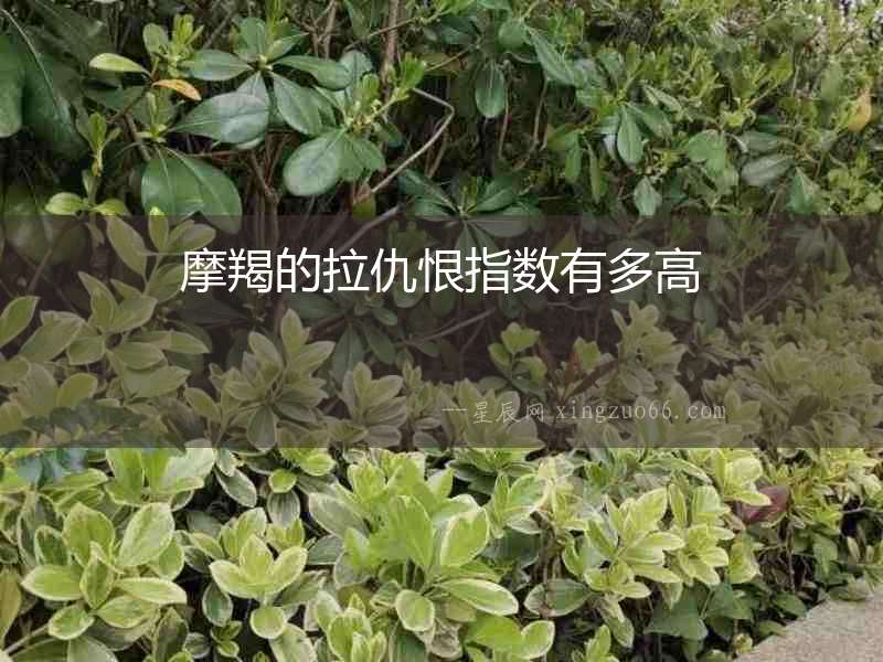 摩羯的拉仇恨指數有多高