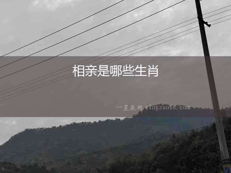 相親是哪些生肖