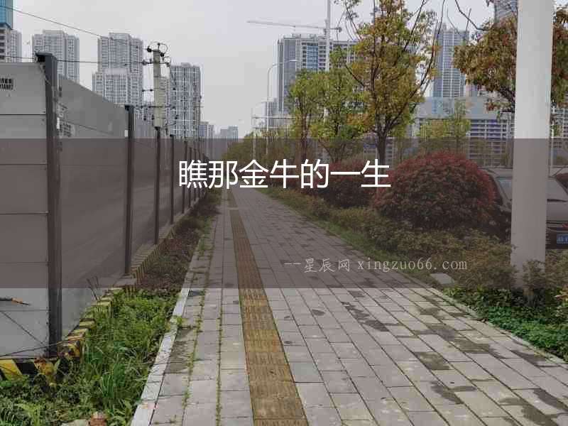 瞧那金牛的一生