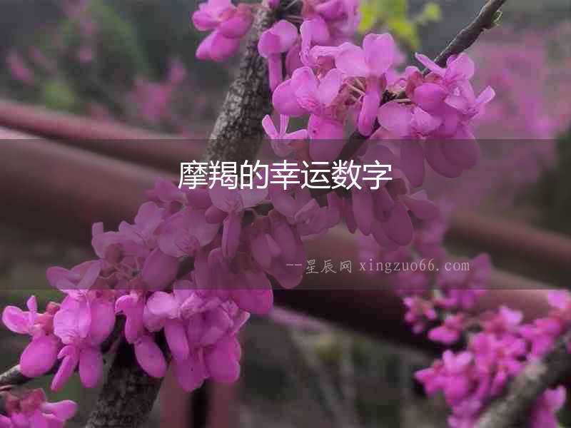 摩羯的幸運(yùn)數(shù)字