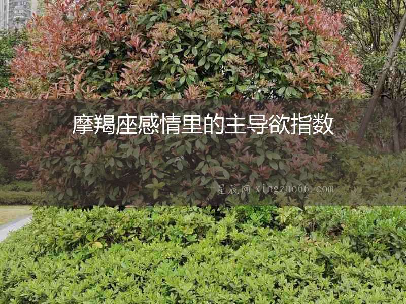 摩羯座感情里的主導(dǎo)欲指數(shù)