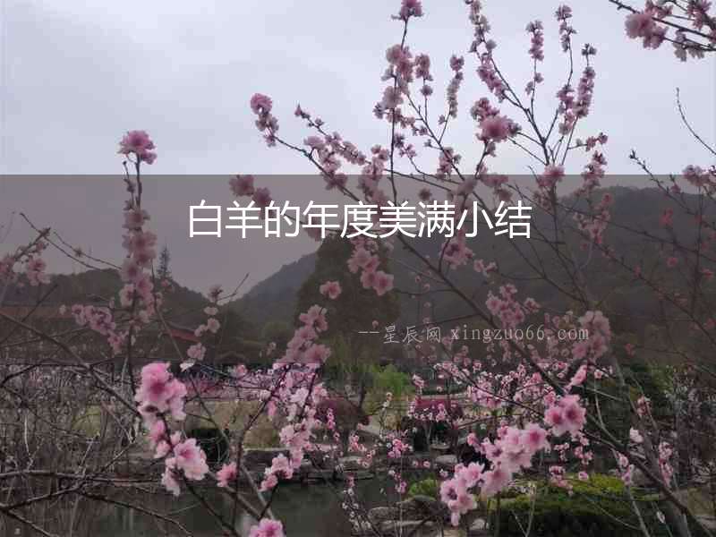 白羊的年度美滿小結