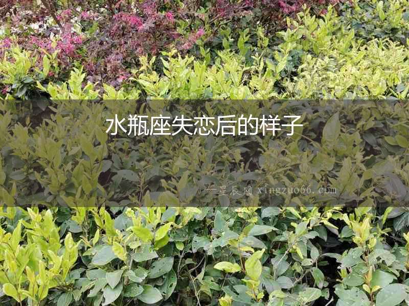 水瓶座失戀后的樣子