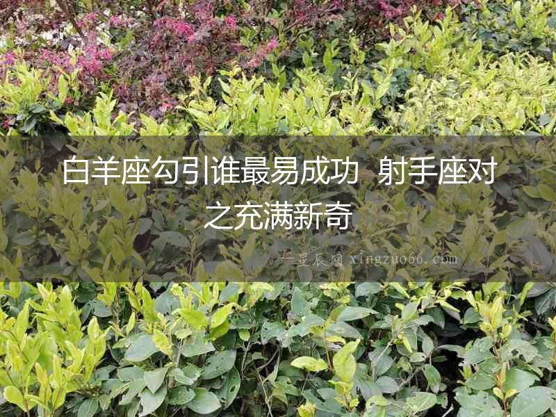 白羊座勾引誰最易成功  射手座對之充滿新奇