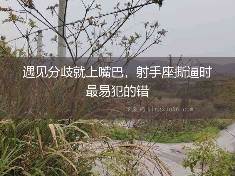 遇見分歧就上嘴巴，射手座撕逼時最易犯的錯