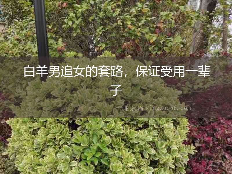 白羊男追女的套路，保證受用一輩子