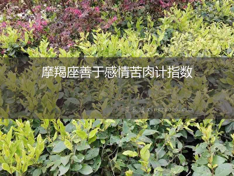摩羯座善于感情苦肉計指數(shù)