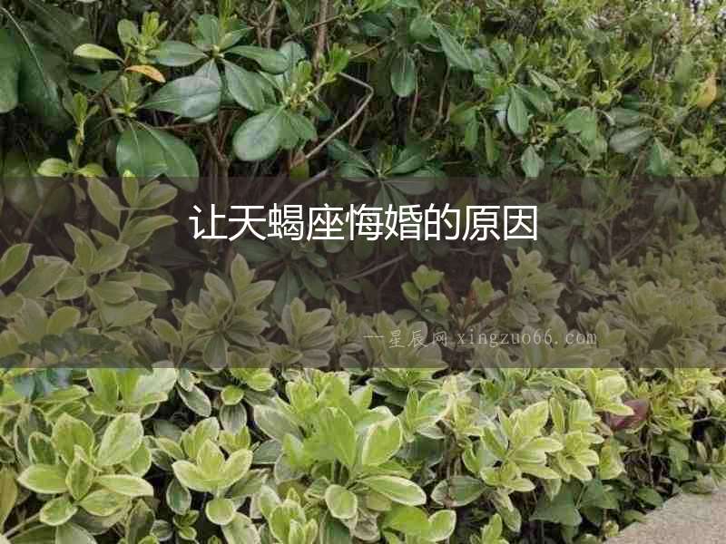 讓天蝎座悔婚的原因