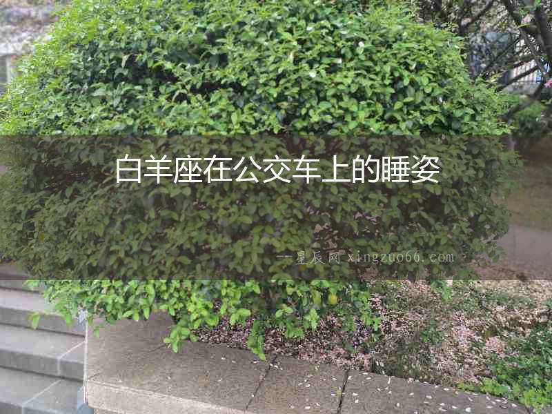 白羊座在公交車上的睡姿
