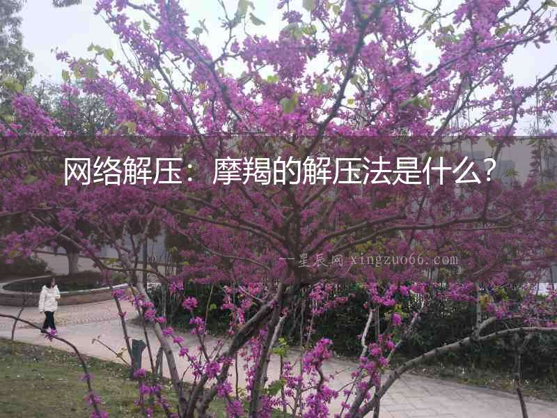 網絡解壓：摩羯的解壓法是什么？