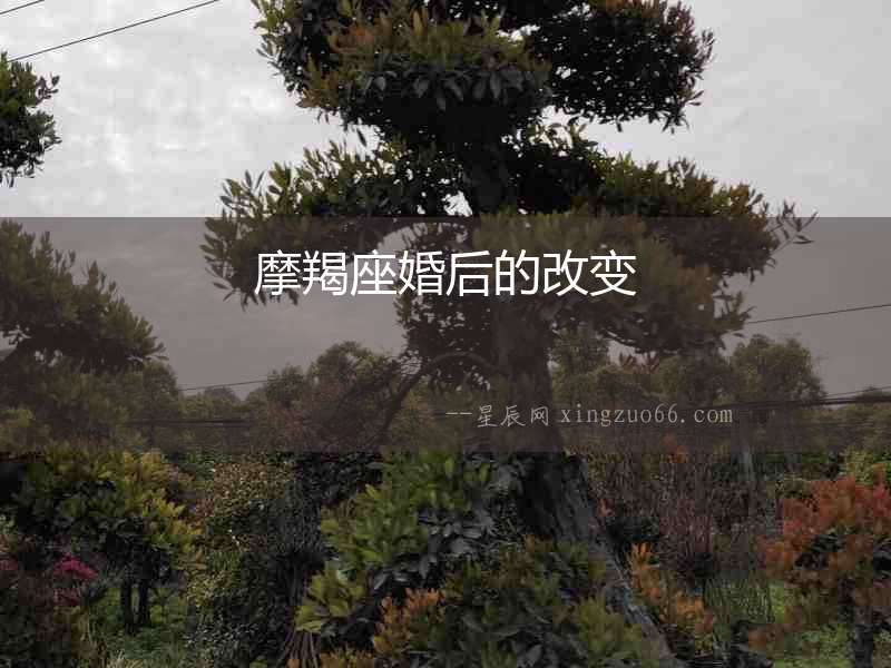 摩羯座婚后的改變