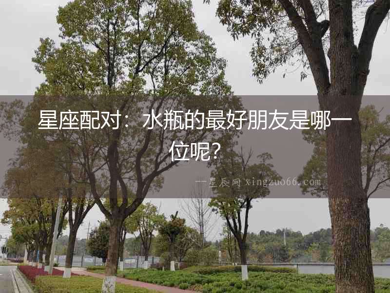 星座配對：水瓶的最好朋友是哪一位呢？