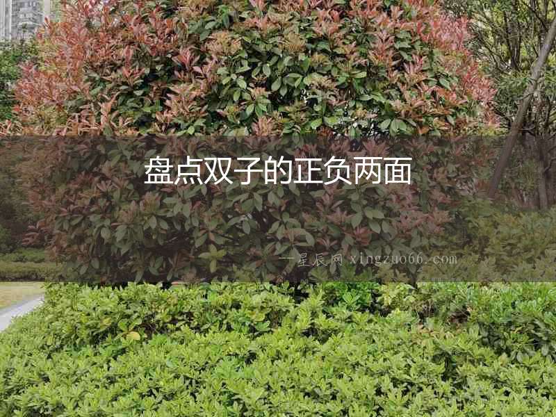 盤點(diǎn)雙子的正負(fù)兩面