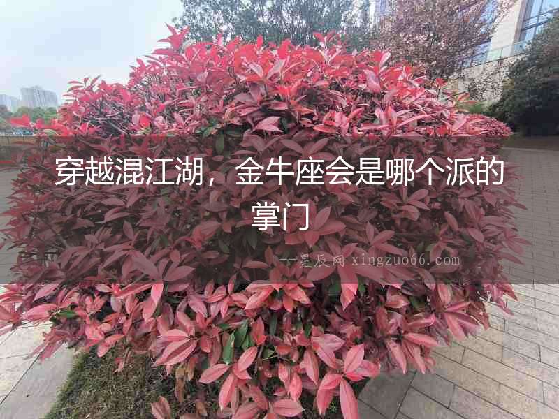穿越混江湖，金牛座會是哪個派的掌門